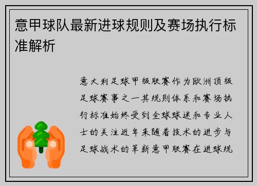 意甲球队最新进球规则及赛场执行标准解析